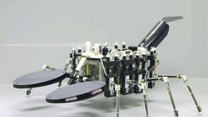 Бесчеловечные солдаты идут в разведку и ищут мины