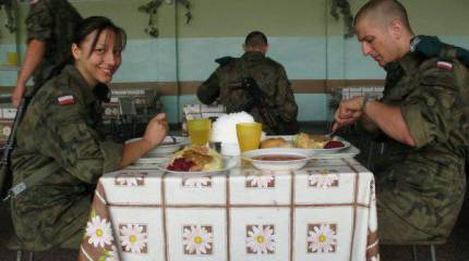 Польская армия перевооружается и недоедает миллиарды злотых