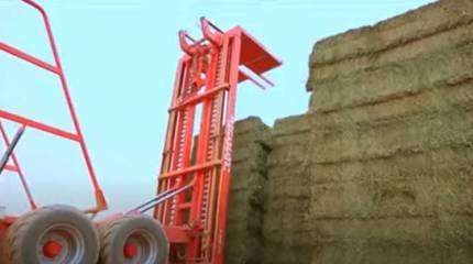 Сельхозпродукция Судана могла бы как минимум на время заместить украинскую аграрную продукцию на мировом рынке