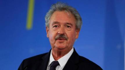 Глава МИД Люксембурга: называть четкие сроки вступления Украины в ЕС - ошибка