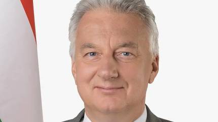 Вице-премьер Венгрии: Мы не будем выдавать Украине беженцев-мужчин