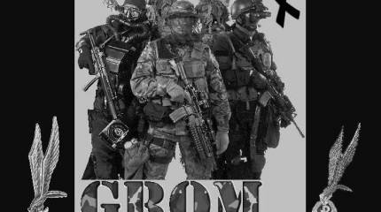 Спецназ Польши прогремел на весь мир