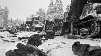 Поражение комбрига Виноградова