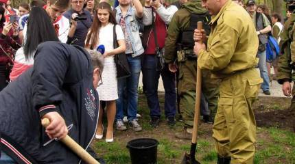 Хрупкие деревца, хранящие память