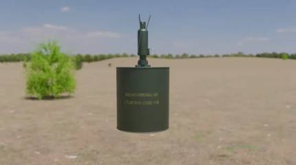 Польша вышла из конвенции о запрете противопехотных мин из-за «угрозы от России»