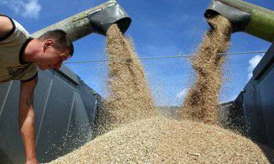 Зерно объединяющее. Россия, Украина, Казахстан и Белоруссия как гаранты мировой продовольственной безопасности