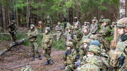 Призванные на военные сборы эстонские резервисты будут строить заграждение на границе с Россией
