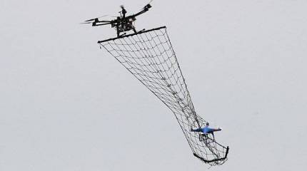 Во Франции разработан новый способ борьбы с мини-БЛА