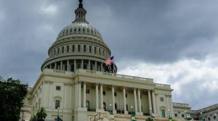 Демократы предложили американскому парламенту свой план борьбы с ДАИШ