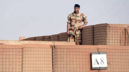 Разгром французского конвоя в Мали