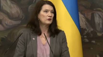 В МИД Швеции знают, как «поддержать» демократию в России