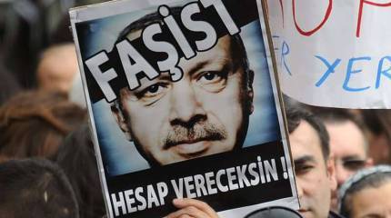 Смена режима в Анкаре? Более вероятна, чем вы думаете (CounterPunch,США)