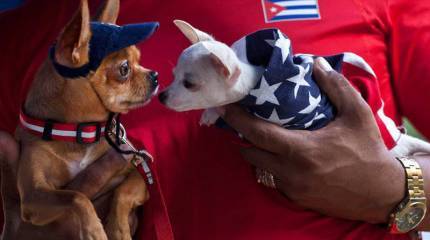 Кубинская затея США: майданный ход империалистов