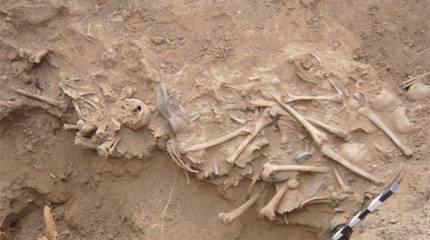 Скандал с движением "Дон" заставляет госорганы расторгнуть контракт