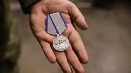 Своих не бросаем: Минобороны учреждает особую награду за поиск пропавших