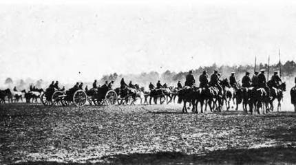 Волчецкий трофей