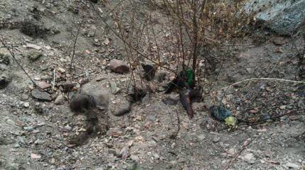 Под Донецком обнаружены захоронения мирных жителей