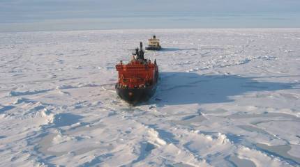 Главное богатство Арктики