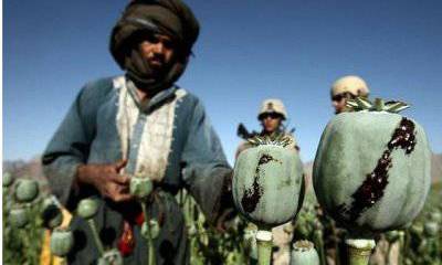 Правда и ложь Афгана