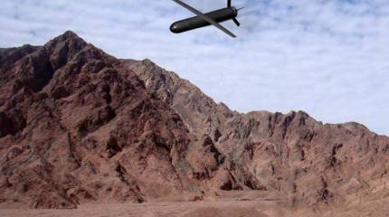 Lockheed Martin разрабатывает для спецназа высокоточный боеприпас Nemesis