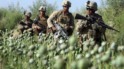 Появление Путина заставило Обаму остаться в афганском болоте ("Walla!", Израиль)