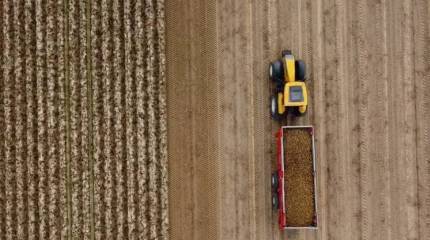 Польская правящая партия начала использовать в предвыборной агитации тему запрета на импорт украинского зерна