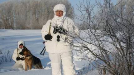 Трое вооруженных нарушителей пытались прорваться с территории Украины в Россию