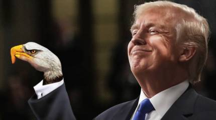 Как мистер Трамп "ястребов" одурачил