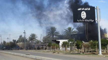 ИГ наращивает выручку