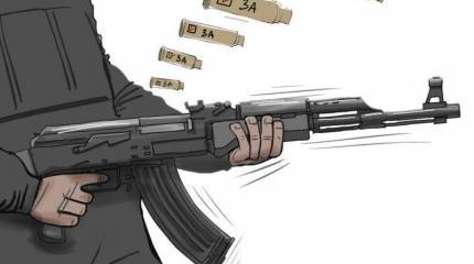 Вводить или не вводить. Вот в чём вопрос!