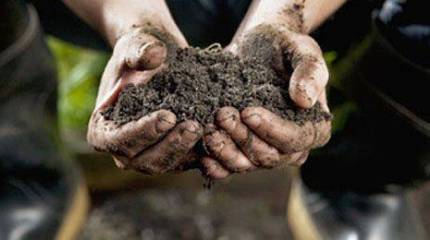 Запад: почём нынче украинская земелька?..