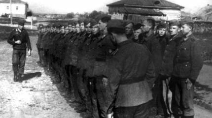 О "массовом предательстве" в годы Великой Отечественной войны