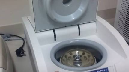 Нуланд заявила о принятии мер по недопущению попадания биолабораторий США под контроль российских военных на Украине