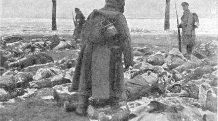 О потерях войск Германского блока на Русском фронте Первой мировой. Часть 1.  Сгинувшие армии