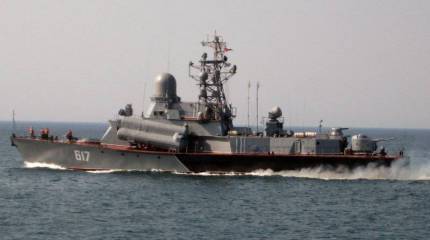 Строить флот, а не суррогат