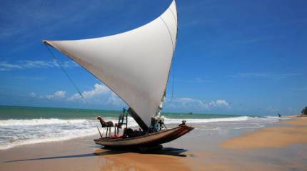 Бомбический… плот