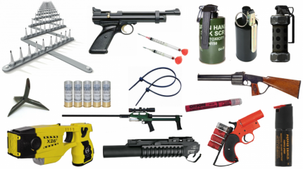 Достижение согласия на празднике непослушания