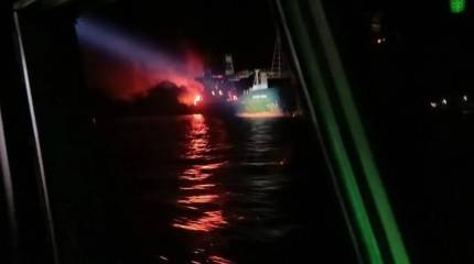 ВС РФ поразили балкер Golden Rose в Чёрном море и завод «Стальканат» в Одессе
