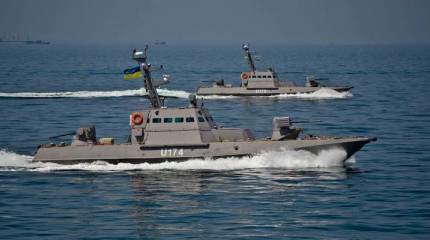 В Госдуме отреагировали на сосредоточение разнородных сил ВСУ на Азовском море