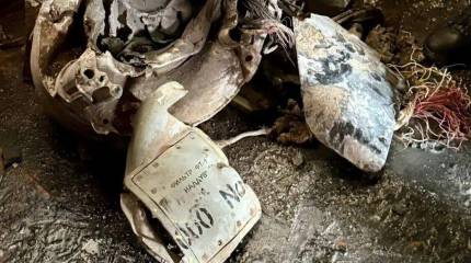 В Киеве посчитали количество иностранных комплектующих в ракете «Искандер-К»