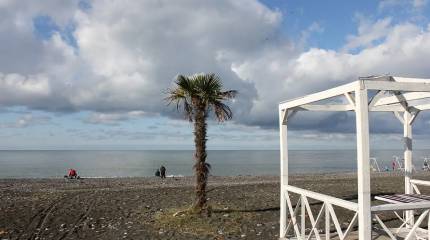 Из-за атак ВСУ в Сочи эвакуируют отдыхающих и ограничена работа аэропорта