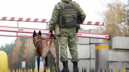 Пограничная охрана Белоруссии обвинила украинских силовиков в постоянных провокациях на границе