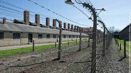 Посол РФ: память об Освенциме – это вакцина от военных авантюр