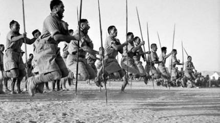 Новозеландцы во Второй мировой войне. От Эль-Аламейна до Триеста