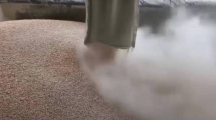 Словакия и Болгария вслед за Польшей и Венгрией прекратят импорт украинского зерна и сельхозпродукции