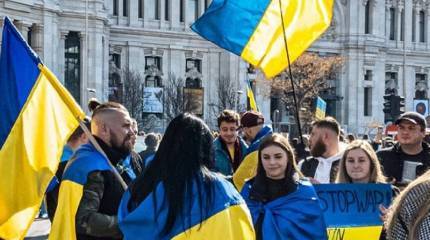 Власти Австрии и Германии опубликовали информацию о количестве мужчин призывного возраста среди украинских беженцев