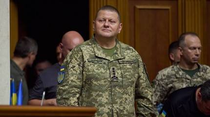 Советник командования ВСУ, опубликовавшая фото с главкомом Залужным, признала, что оно не новое