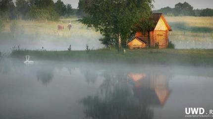 Беженцы и «чужая» земля