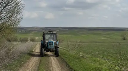 Под Одессой запретили ездить на авто по полевым дорогам – борются с уклонистами