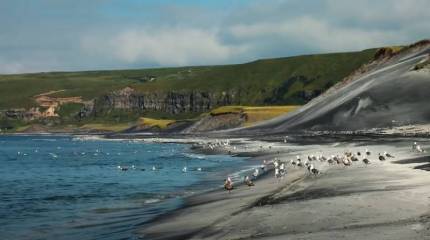 Япония выразила решительный протест в связи с запретом упрощенного режима посещения Курильских островов